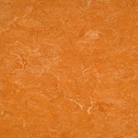 Armstrong DLW linoleum 125-073