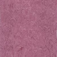 Armstrong DLW linoleum 125-113