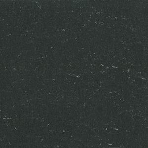 DLW Gerfloor Colorette Linoleum 0081 Private black