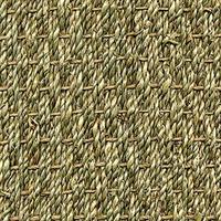Søgræs tæppe i farven 2900 fin