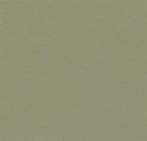 Forbo Marmoleum Walton Linoleum 3355 Rosemary green