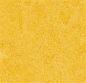 Forbo marmoleum real 3251 lemon zest i 200 cm bredde