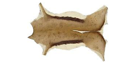 Rensdyrskind fra Norden